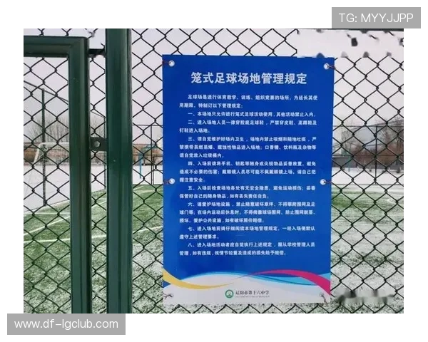 围绕足球场最多上多少人这一问题的深入全面综合解析与探讨专题研究